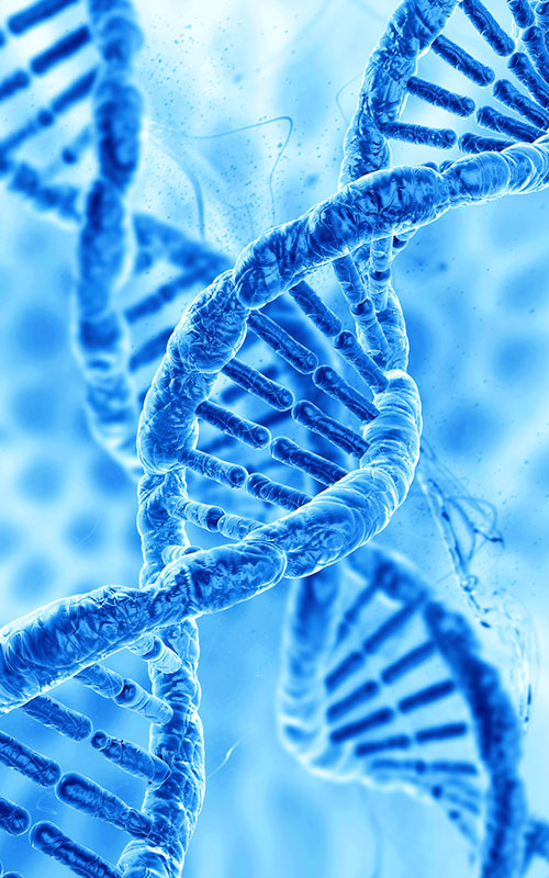 Anhua Bio bringt PDRN-Produkt auf den Markt: Rekonstruktion der globalen Lieferkette von Rohstoffen für die Geweberegeneration mit synthetischer Biologie